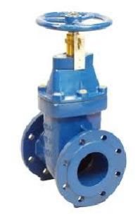 ANSI Gate Valve