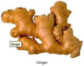 fresh ginger