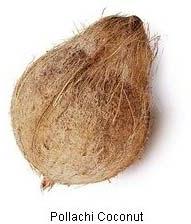 Pollachi Coconut