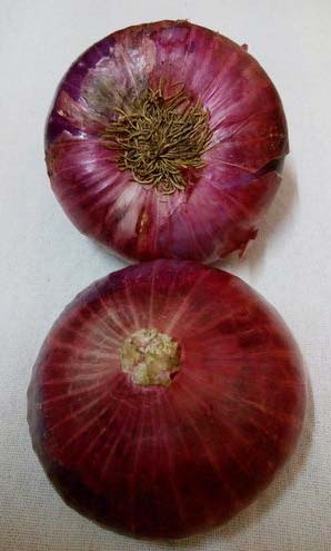 Red Onion exporter