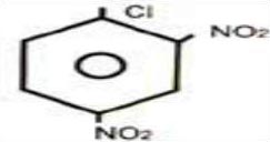 2,4 Di Nitro Chloro Benzene