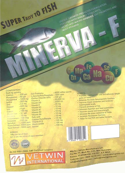 Minerva-f