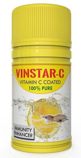 Vinstar-C Feed Supplement