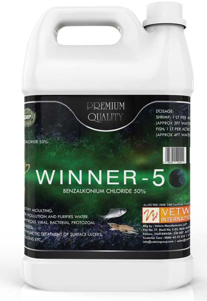 Winner Water Sanitizer