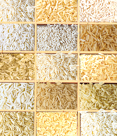 Raw Rice (non Basmati)