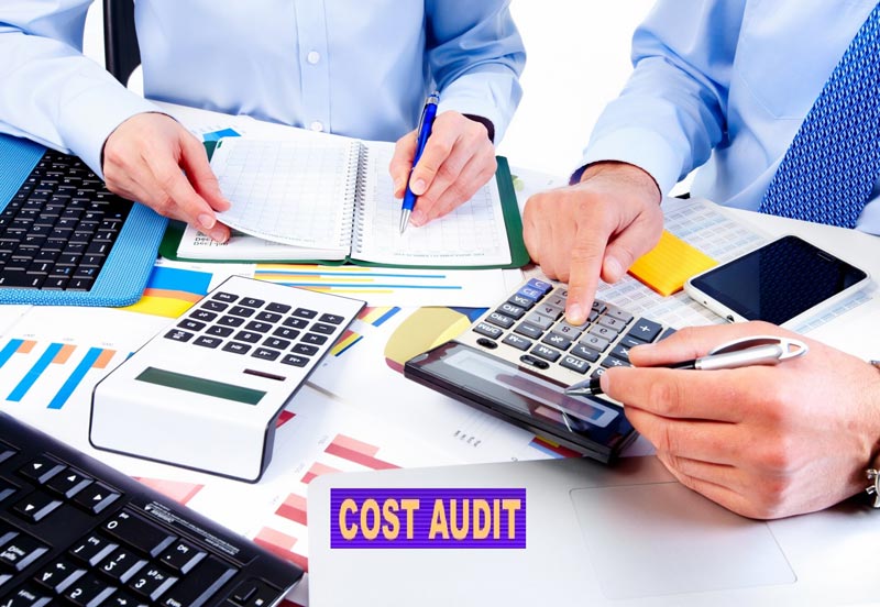 Cost Auditing Services