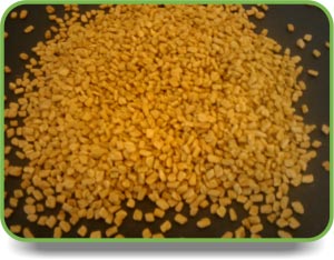 Fenugreek Seeds