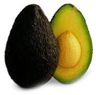 Avocado Hass