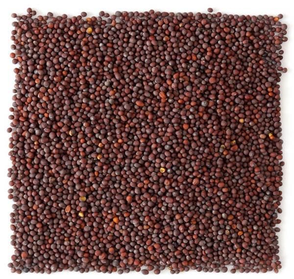 mustard seeds