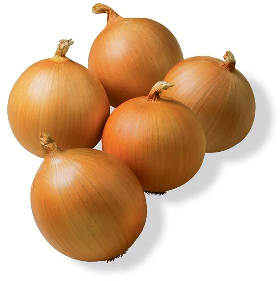 yellow onion