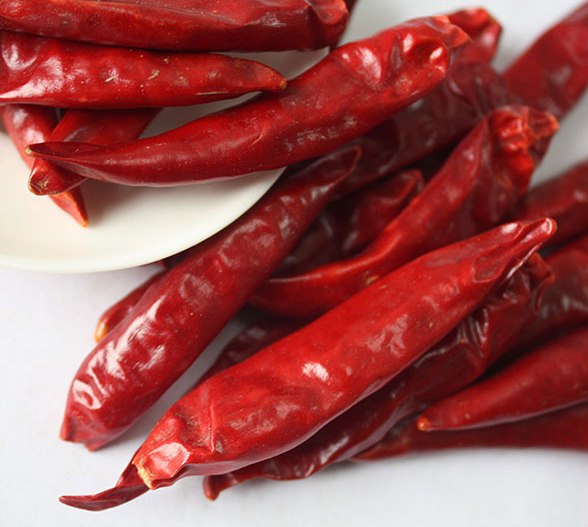 Slight Hot Chili Pepper