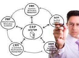 ERP Software Consultant