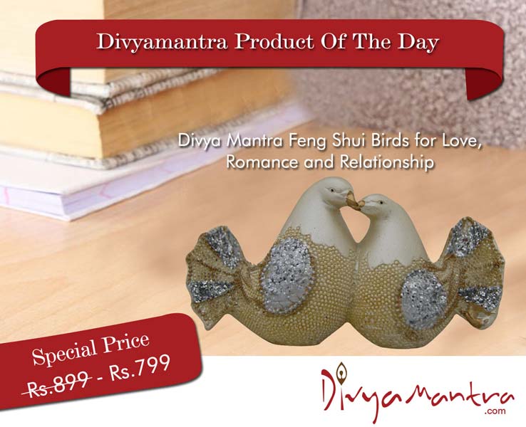 Divya Mantra Feng Shui Birds for Love, Romance and Relationship