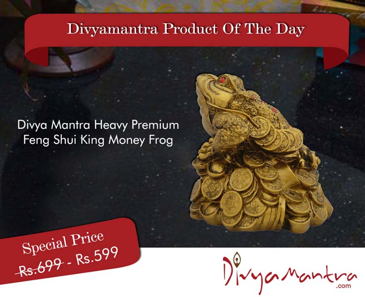 Divya Mantra Heavy Premium Feng Shui King Money Frog