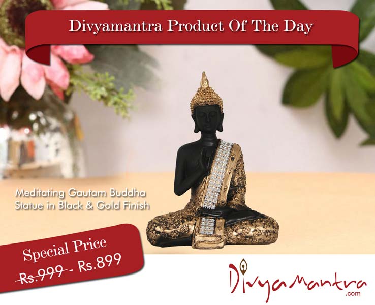 Divyamantra Meditating Gautam Buddha Statues