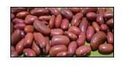red kidney beans