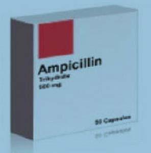 Ampicillin Capsules