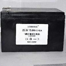 25.9 V 15600MAH Li-Ion Battery Pack (Li1259156C10)
