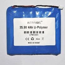 25.9 V 4000MAH Li-Polymer Battery Pack (LP25940C4)