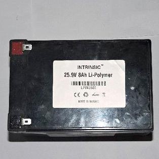 25.9 V 8000MAH Li-Polymer Battery Pack (LP25980C10)