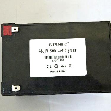 48.1 V 8000MAH Li-Polymer Battery Pack (LP48180C10)