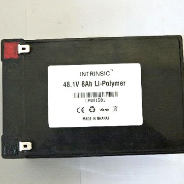 48.1 V 8000MAH Li-Polymer Battery Pack (LP48180C4)