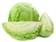 fresh cabbage