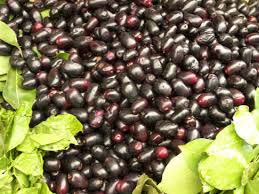 Natural Fresh Jamun, for Diet Juice, Health Benefits, Purity : 99.9%