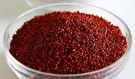 Organic Ragi Seeds, for Cattle Feed, Cooking, Feature : Good In Taste, Non Harmful