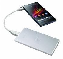 Sony Power Bank