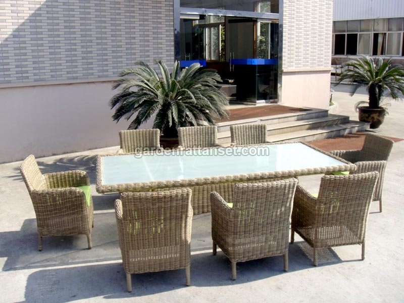 Outdoor Wicker Dining Set by Well Furnir Company Limited, Outdoor