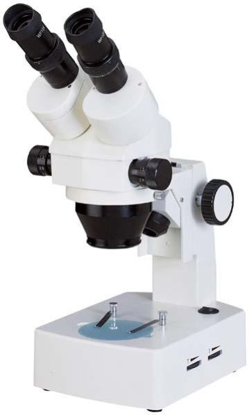 Stereo Microscope