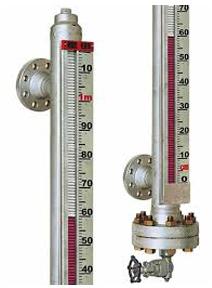 Side Mounted Magnetic Level Indicator