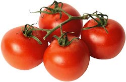 tomato concentrate