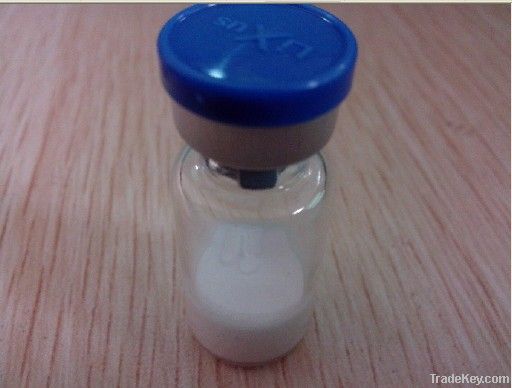 Bodybuilding Peptides Injection Ipamorelin