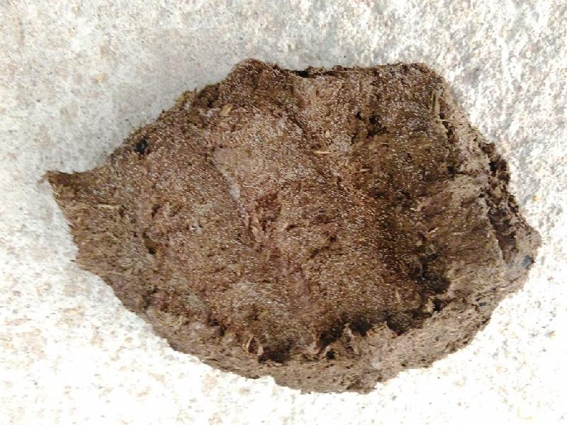 Cow Dung Cakes