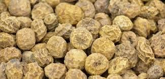 Tiger Nuts