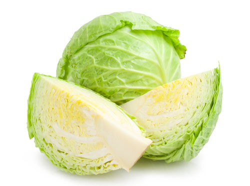 Fresh Cabbage, Color : Light Greeen