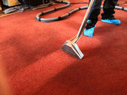 Carpet Treatment Services