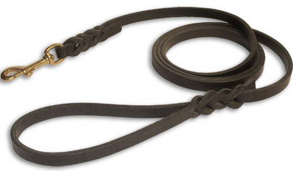 Leather Dogs Leashes