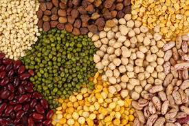 Pulses and Cereals