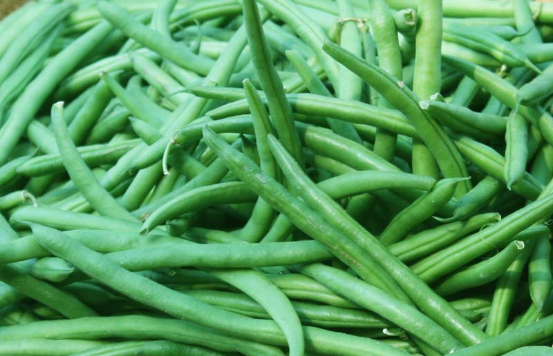 Fresh Green  Beans
