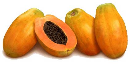 Papaya