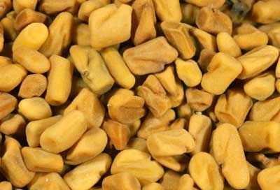 fenugreek seeds