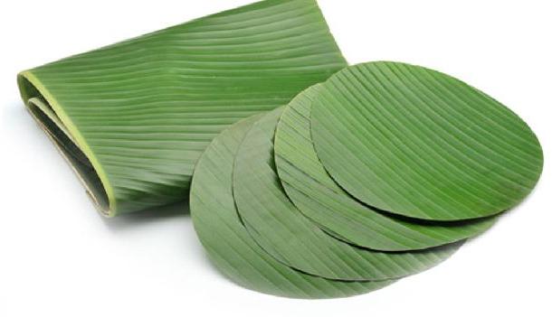Common Banana Leaves, for Making Disposable Items, Feature : Good Quality
