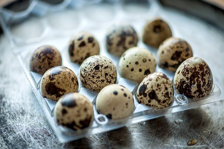 quail egg