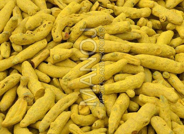 Turmeric finger