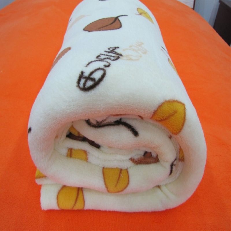 Exporter of Blankets from Shanghai, China by Shanghai Raiz