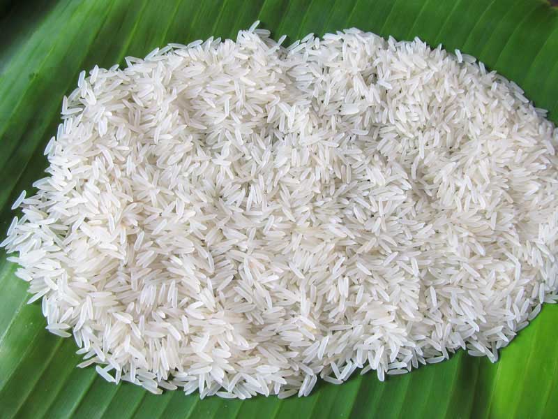 IR Non Basmati Rice