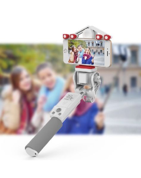 Selfie Stick Mini Perche.